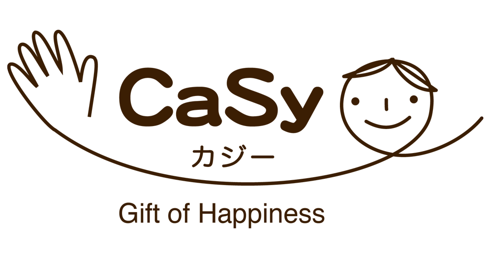 CaSy Group